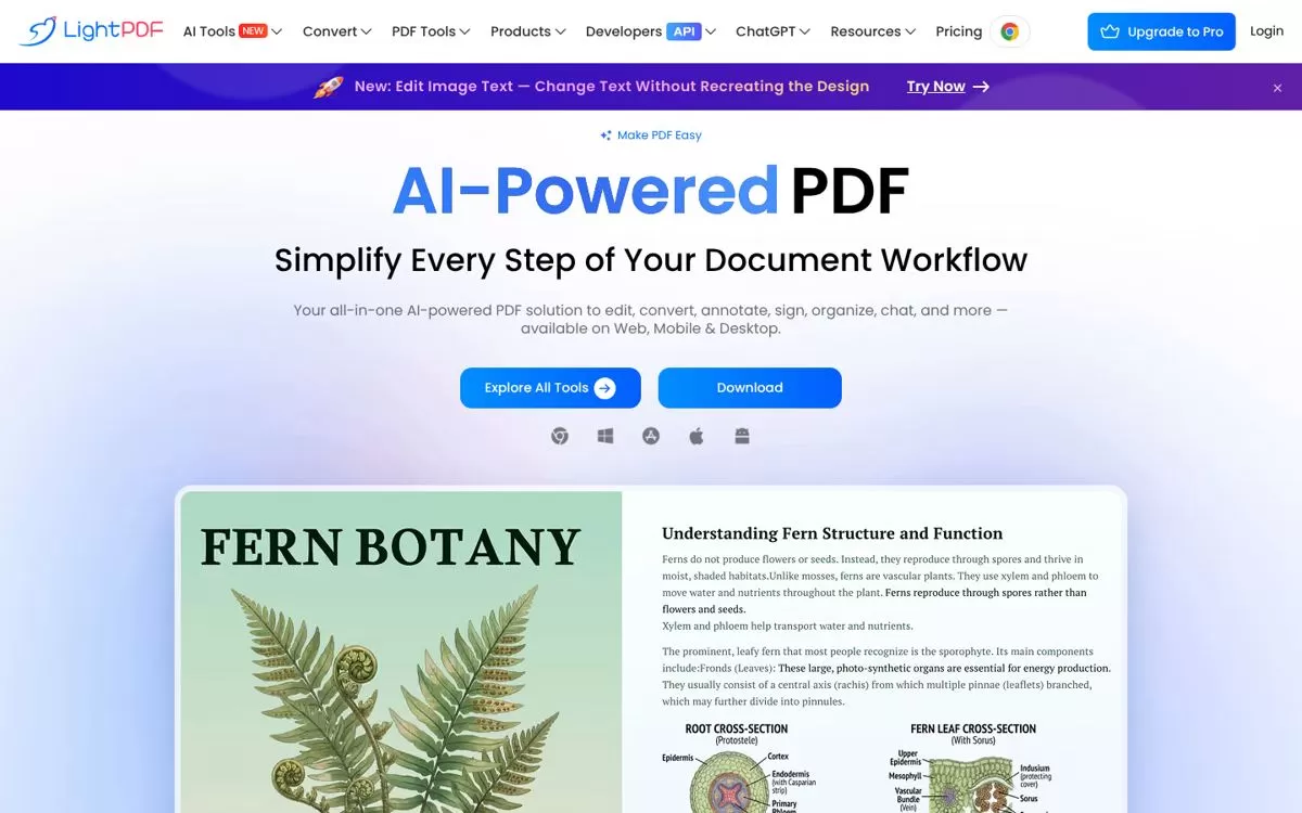 LightPDF homepage showing an AI-powered PDF workspace, one of the AI PDF summarizers with a free plan