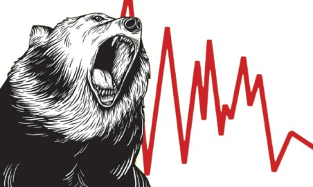 Bear | Most Frequently Used Trading Animals in the Share Market