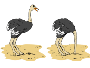 ostrich